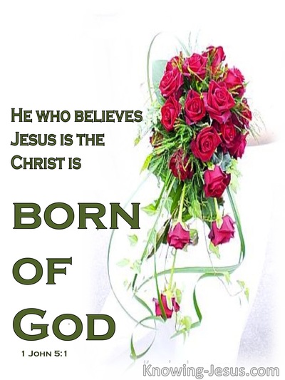 1 John 5:1 Child Of God (green) 